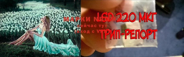 гидра Каменногорск