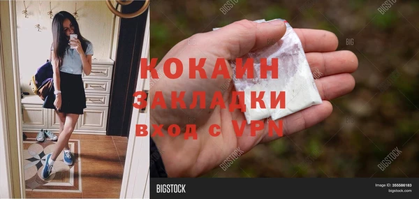 сатива Карталы