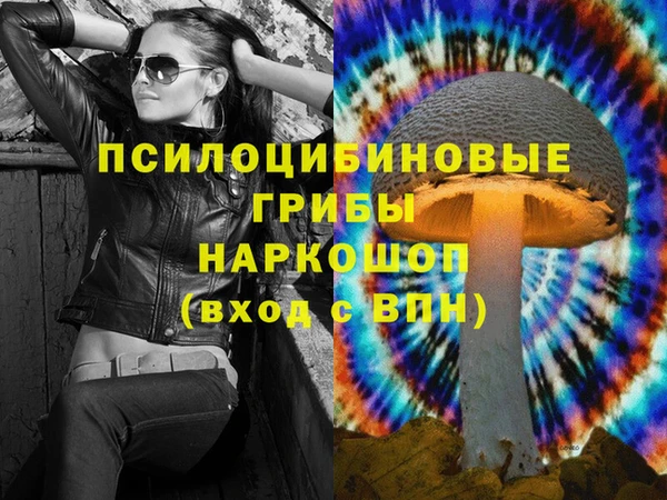 кокс Касимов