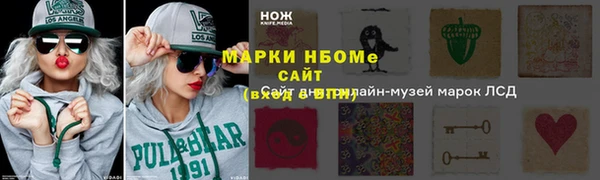 кокс Касимов