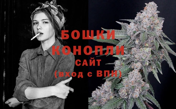 гидра Каменногорск