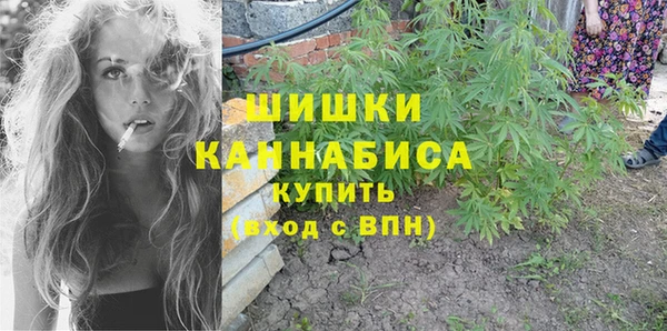 гидра Каменногорск