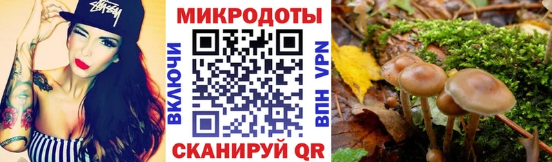Галлюциногенные грибы мицелий  Кологрив 
